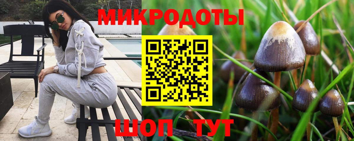 Галлюциногенные грибы Psilocybine cubensis Вязьма